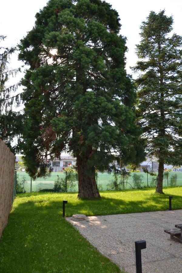 Akvamarin Apartman ケストヘイ エクステリア 写真