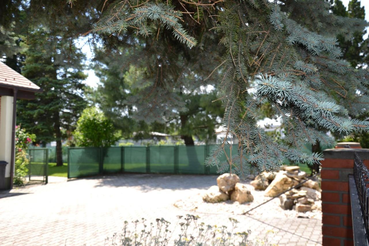 Akvamarin Apartman ケストヘイ エクステリア 写真